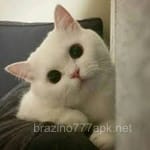 Avatar de Gustavo Salazar