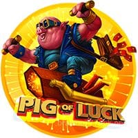 Pig Of Luck